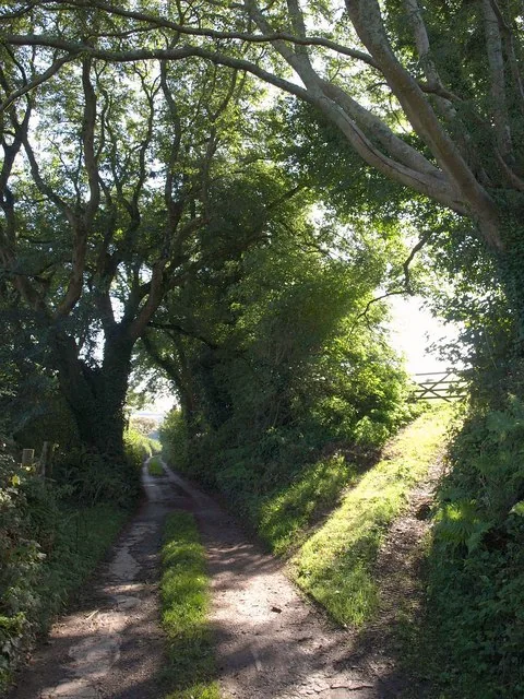 Avon Estuary Walk
