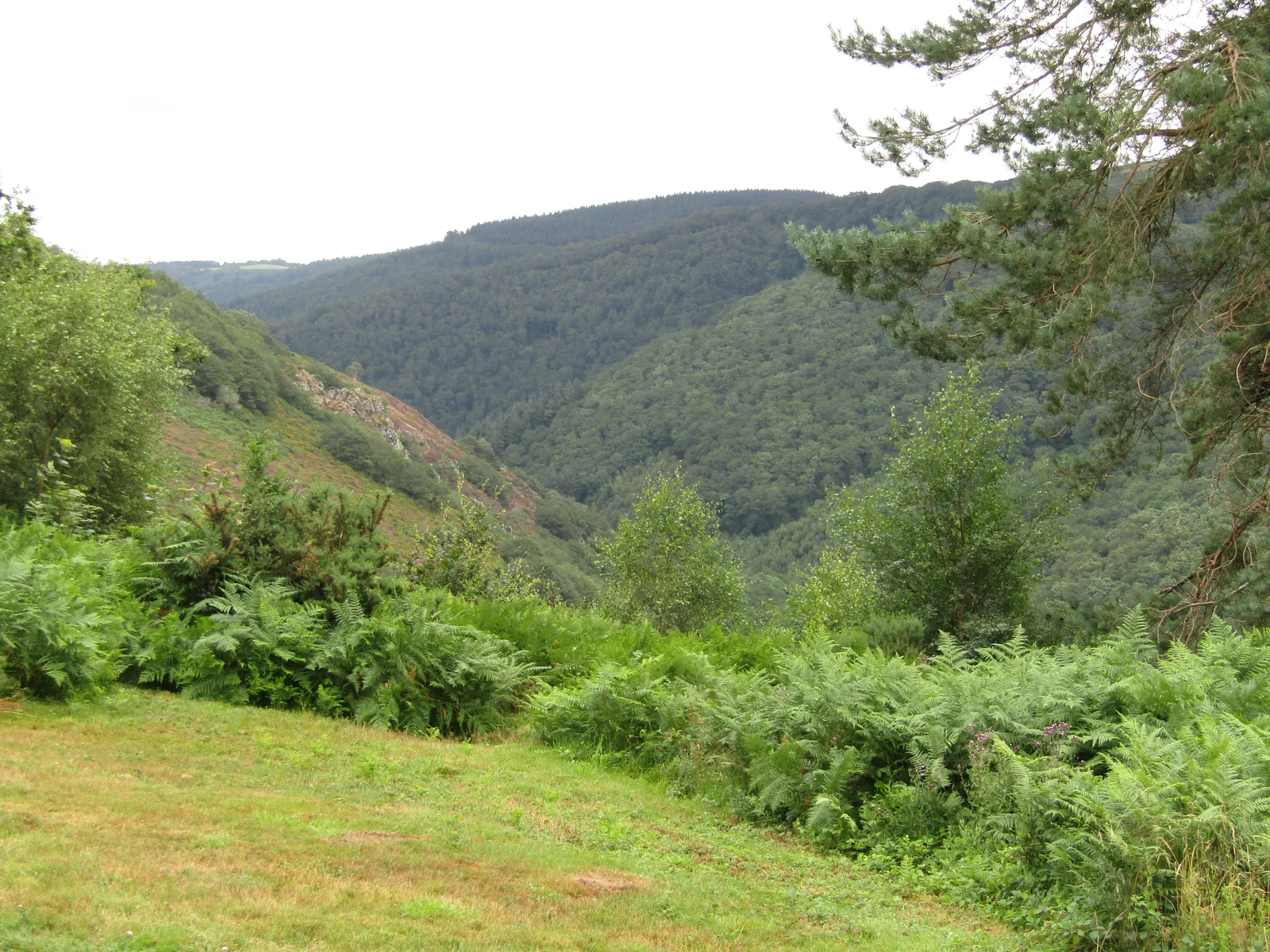 Teign Gorge Classic Circuit, Castle Drogo